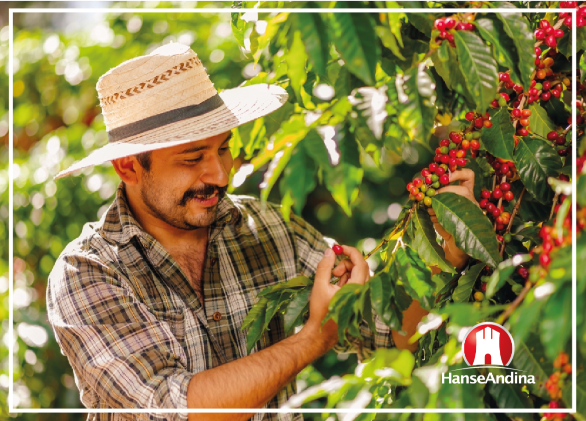 El Café en Centroamérica
